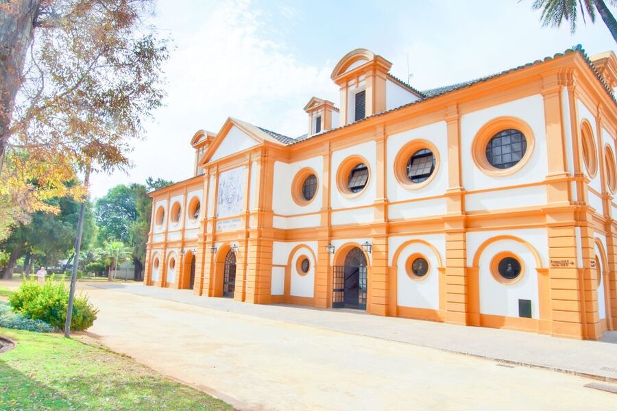 Jerez de la Frontera: How the Andalusian Horses Dance - Arriving at the Royal Andalusian School