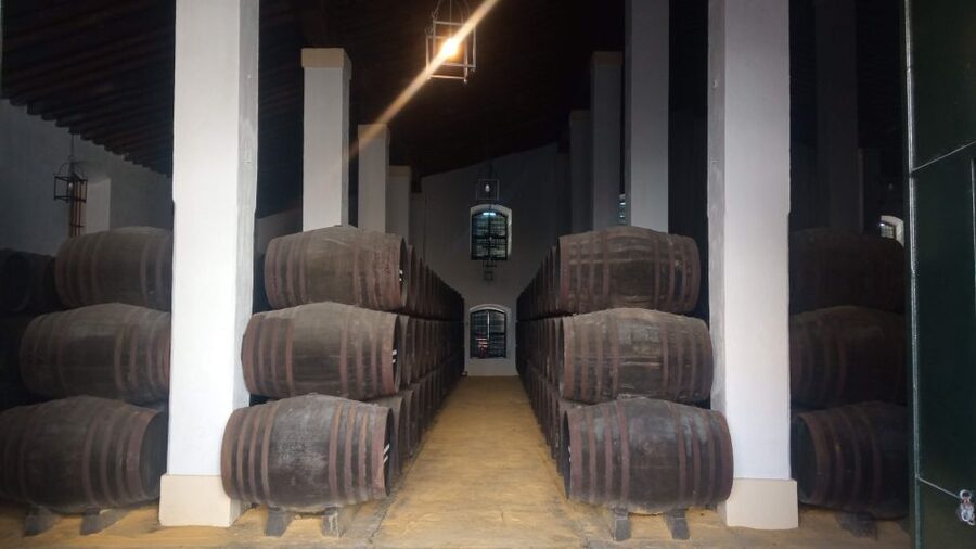 Jerez de la Frontera: Sherry Winery Tour with Tasting - Inside Cayetano del Pino’s 1886 winery