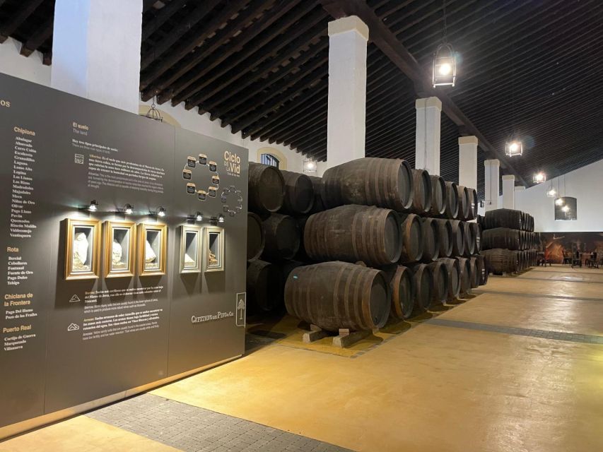 Jerez de la Frontera: Sherry Winery Tour with Tasting - Is $29 good value?