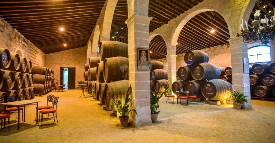 Jerez: Guided Winery Tour with Wine Tasting - Key points to know before you book