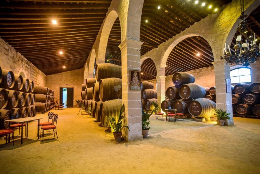 Jerez: Guided Winery Tour with Wine Tasting - Is $22 good value for Jerez?