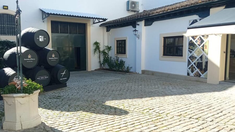 Jerez: Guided Winery Tour with Wine Tasting - Timing, directions, and the small practical snags