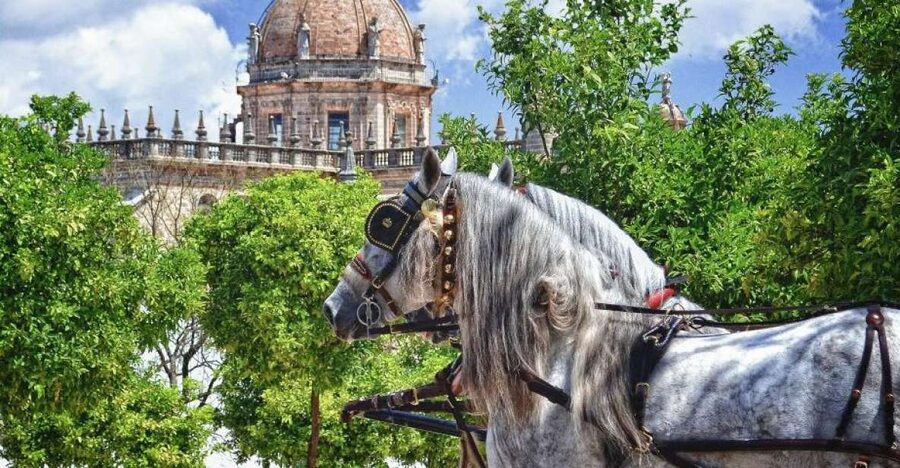 Jerez: Historic Center Guided Tour - Why Jerez makes a good walking-tour subject