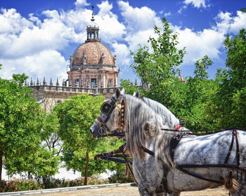 Jerez: Historic Center Guided Tour - Starting at Plaza del Arenal and entering San Miguel