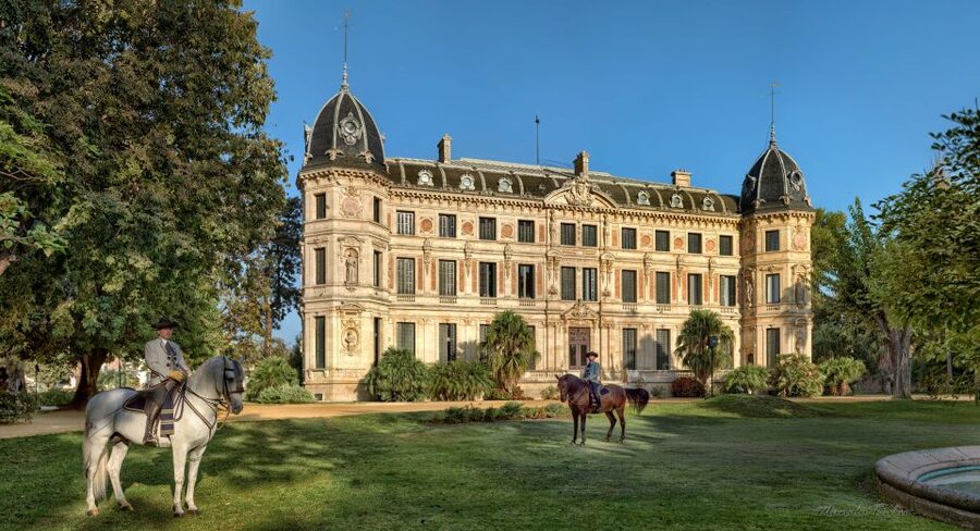 Jerez: Royal Andalusian School of Equestrian Art Admission - Why the training session is the real highlight