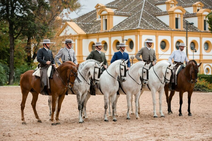 Jerez: Royal Andalusian School of Equestrian Art Admission - The stables and the horses