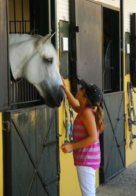 Jerez: Yeguada de la Cartuja Carthusian Horses Tour - Should you book the Yeguada de la Cartuja tour?