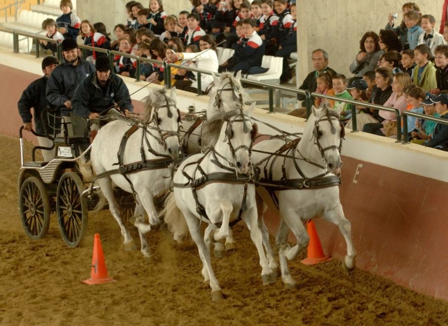 Jerez: Yeguada de la Cartuja Carthusian Horses Tour - How much time and money should you allow?