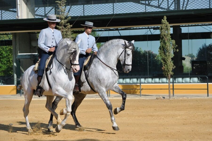 Jerez: Yeguada de la Cartuja Carthusian Horses Tour - Who will enjoy this horse farm most?
