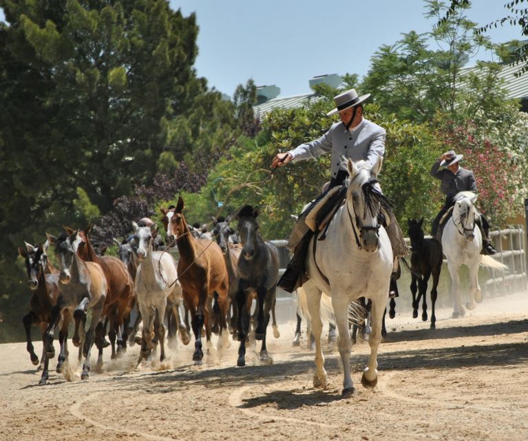 Jerez: Yeguada de la Cartuja Carthusian Horses Tour - What can make the visit less smooth?