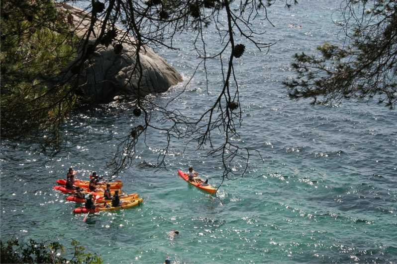 Kayak and Snorkel in Playa de Aro, Costa Brava - Key points to know before you book