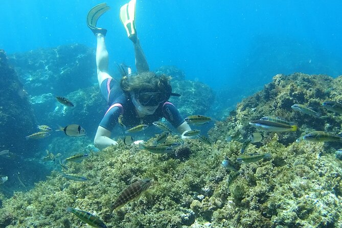 Kayak & Snorkel Tour in Cerro Gordo Natural Park, La Herradura - Is $34.76 good value?