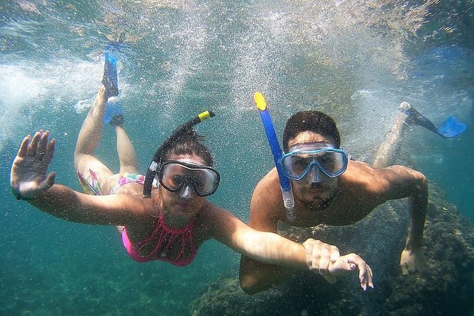 Kayak & Snorkel Tour in Cerro Gordo Natural Park, La Herradura - My verdict: book it for the coast, not just the fish