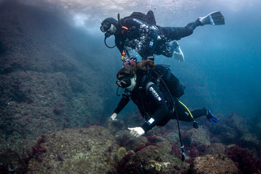 L'Estartit: Dive and Snorkeling in Montgrí Natural Park - What the $92 Price Covers