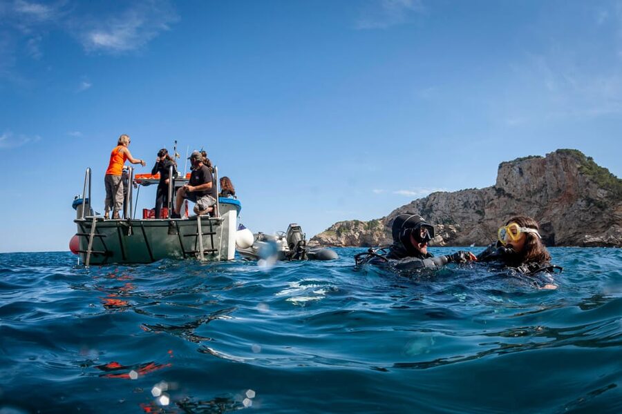 L'Estartit: Dive and Snorkeling in Montgrí Natural Park - Learning the Basics Before Going Under