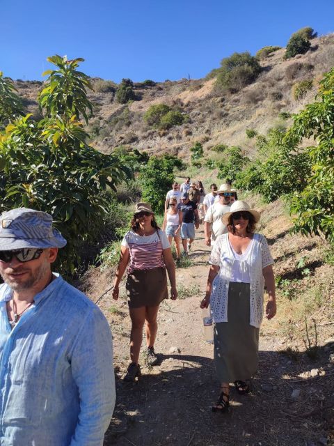 La Herradura Coffee Farm: tour in Europe's only plantation - What makes this coffee farm unusual