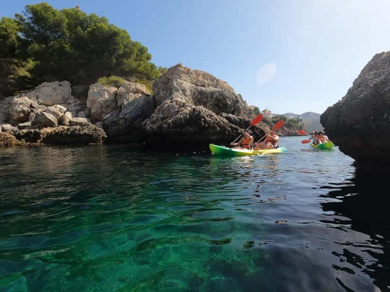 La Herradura: Kayak & Snorkel Tour to Cerro Gordo Reserve - What the guide adds to the experience