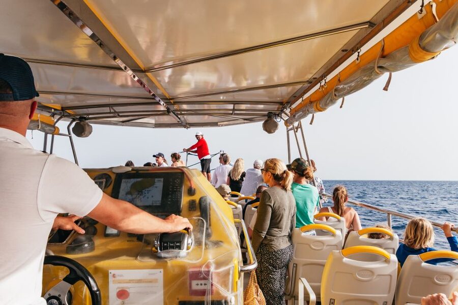 Lanzarote: 2.5-Hour Sunset and Dolphins Cruise - What the $61 price really buys you