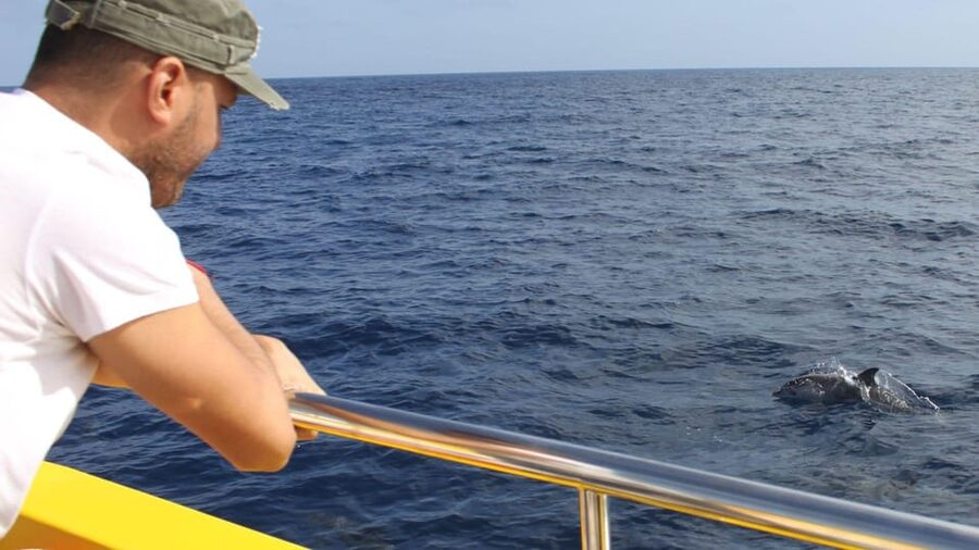 Lanzarote: 2.5-Hour Sunset and Dolphins Cruise - Getting to Puerto del Carmen by hotel shuttle