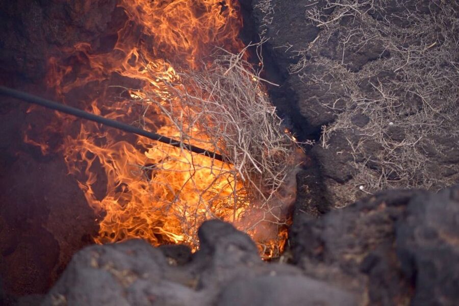 Lanzarote: 5-Hour Timanfaya National Park Southern Tour - Key points to know before booking