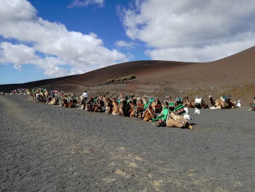 Lanzarote: 5-Hour Timanfaya National Park Southern Tour - One hour among the Fire Mountains