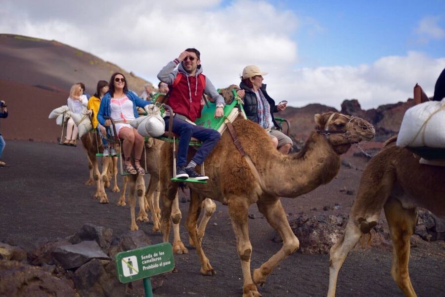 Lanzarote: 5-Hour Timanfaya National Park Southern Tour - The Lava Coast and the Green Lagoon