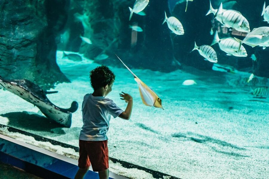 Lanzarote: Aquarium Entry Ticket - What the $18 ticket really gets you