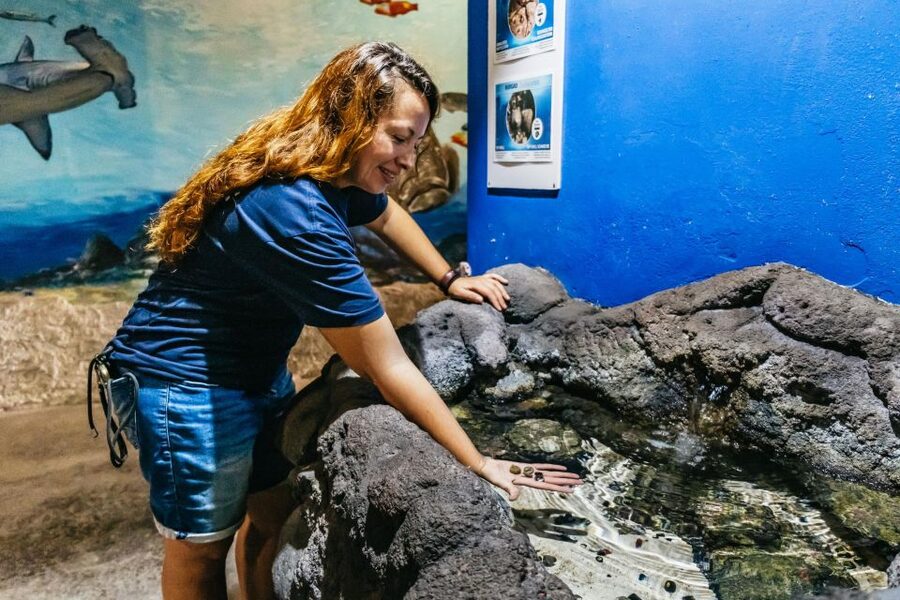 Lanzarote: Aquarium Entry Ticket - The turtle rehabilitation center