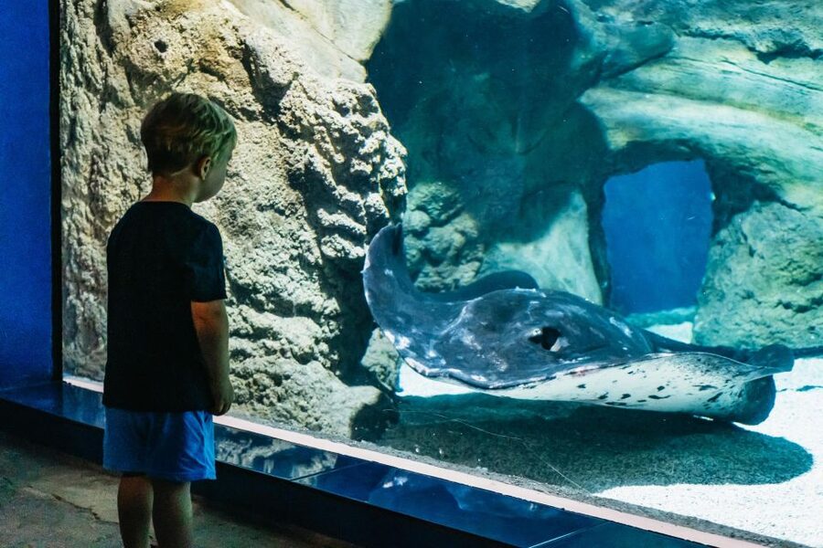 Lanzarote: Aquarium Entry Ticket - How long should you plan to stay?