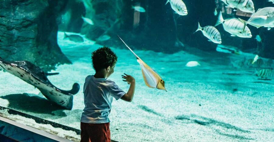 Lanzarote: Aquarium Entry Ticket - Starting in the Canary Islands section