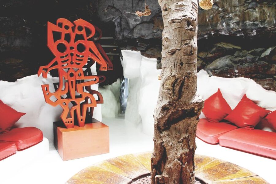 Lanzarote: César Manrique Foundation and Teguise Market - Who should book this half-day tour?