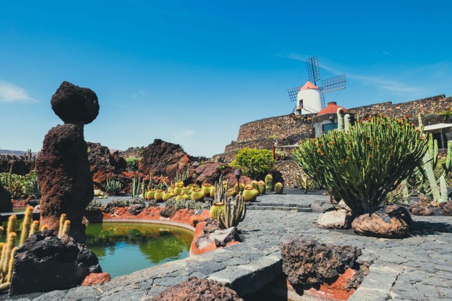 Lanzarote: César Manrique Full-Day Tour - What the $100 price really covers