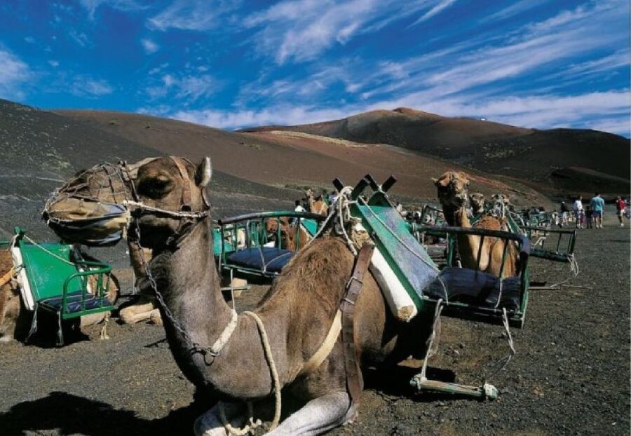 Lanzarote: Day Tour for Cruise Passengers - The Monumento al Campesino and Lanzarote’s working island