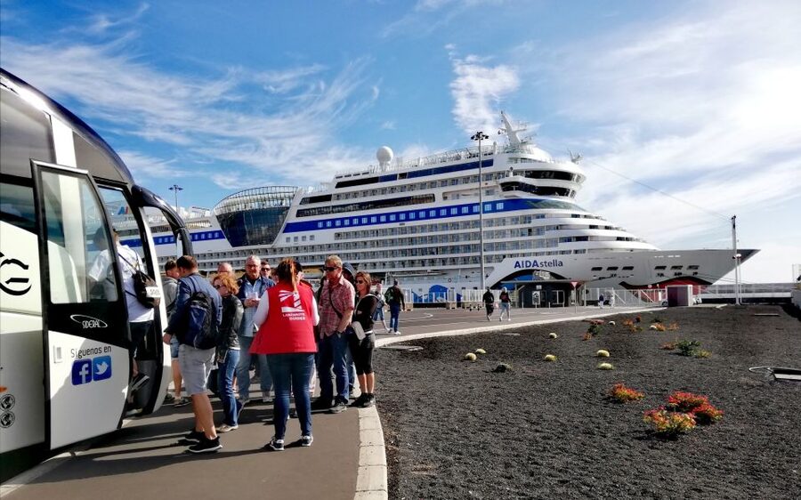 Lanzarote: Day Tour for Cruise Passengers - La Geria, where vines grow in black ash