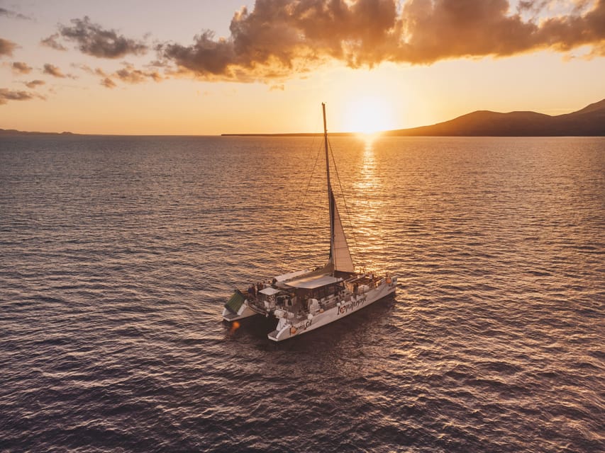 Lanzarote: Dolphin-Watching Sunset Cruise with Transfers - Key points at a glance