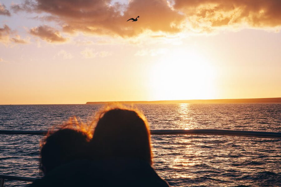Lanzarote: Dolphin-Watching Sunset Cruise with Transfers - Searching for dolphins in open water