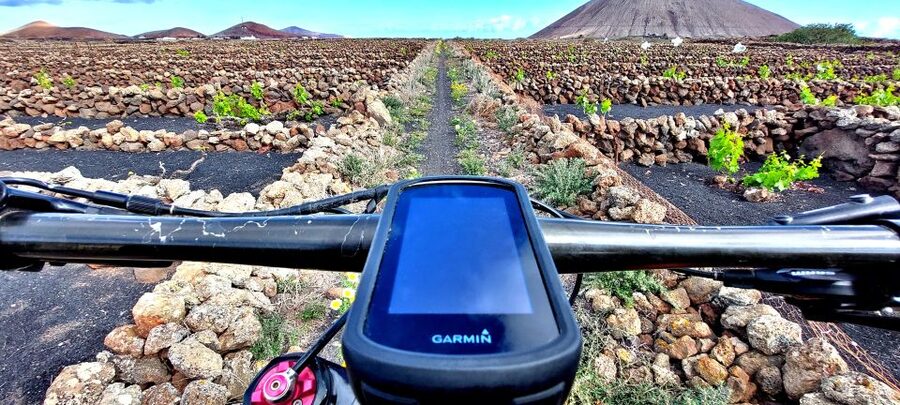 Lanzarote E-Bike Tour: Volcano Craters & Scenic Vineyards - Bikes, Snacks, and the Photo Video Package