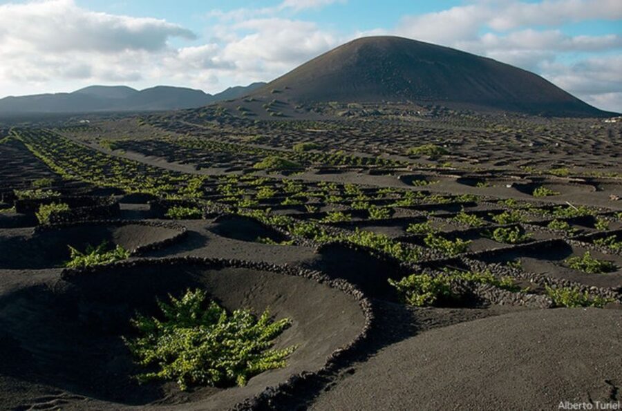 Lanzarote: Full Day Bus Tour with Scenic Views - Why this tour works for a first day on Lanzarote