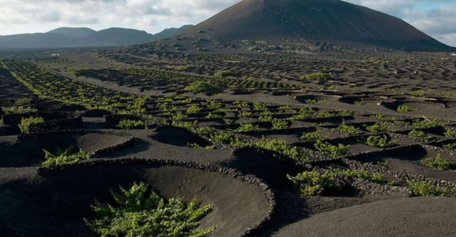 Lanzarote: Full Day Bus Tour with Scenic Views - The morning pickup: useful, but allow extra time