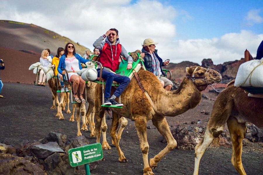 Lanzarote: Full-Day Island Highlights Tour - Guides, translation, and coach comfort