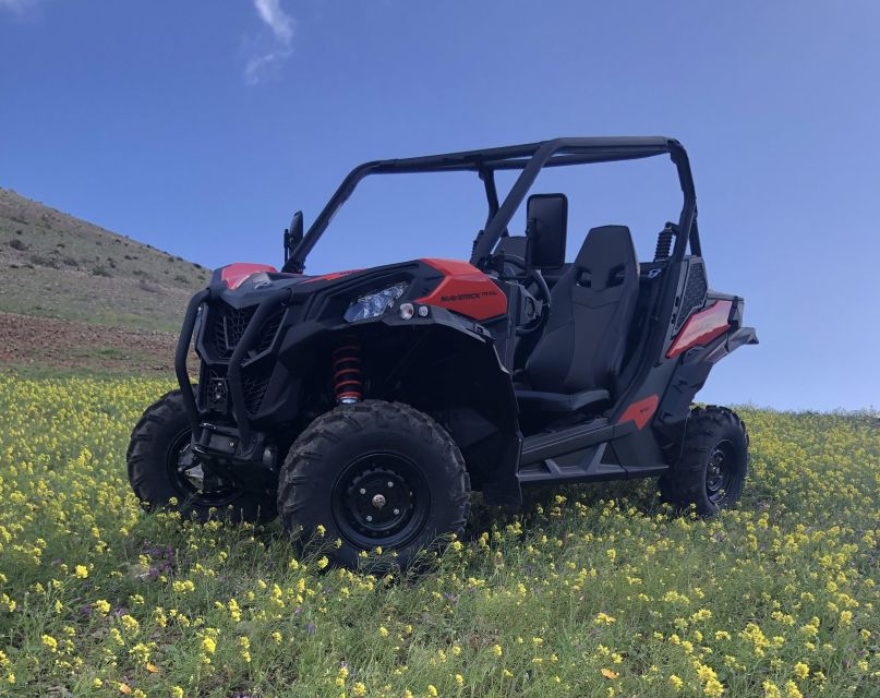 Lanzarote: Guided Can-Am Trail Buggy Tour - Why this buggy ride suits Lanzarote