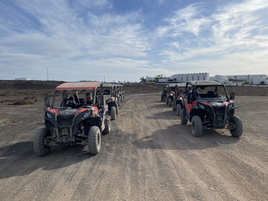 Lanzarote: Guided Can-Am Trail Buggy Tour - Who should book this outing?