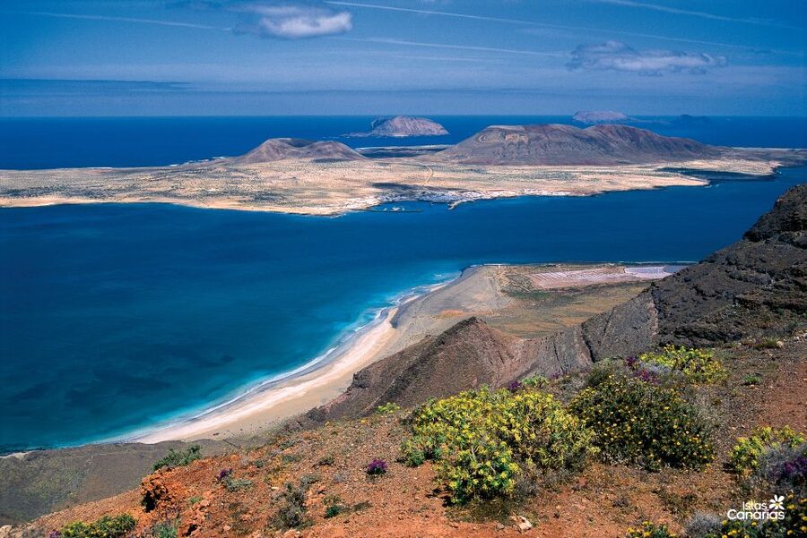 Lanzarote: Jameos del Agua & North Island for Cruise Guests - The guide and bus experience