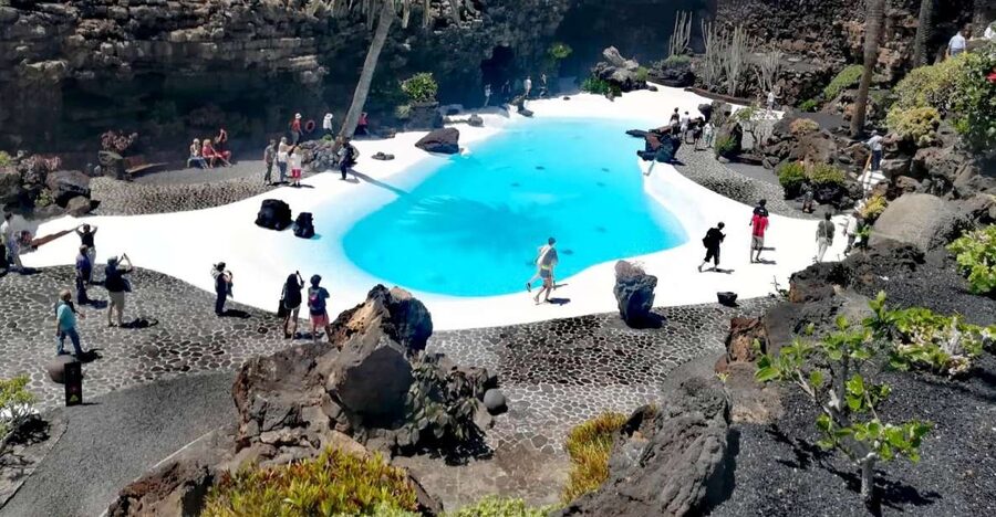Lanzarote: Jameos del Agua & North Island for Cruise Guests - From the harbor to Haría’s Valley of a Thousand Palm Trees