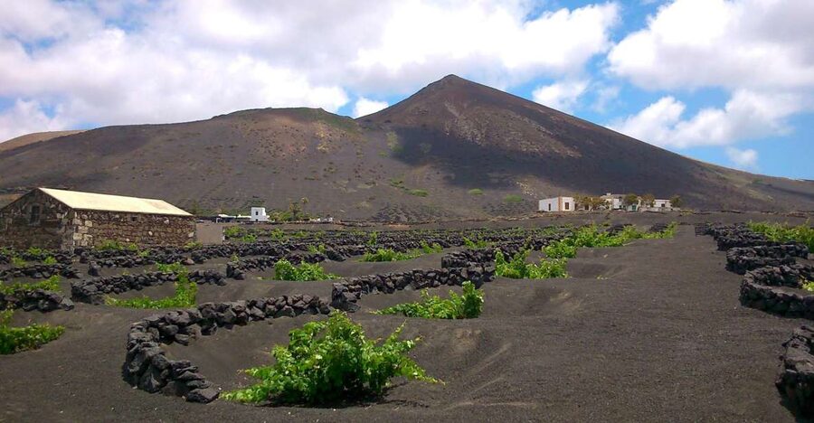Lanzarote: La Geria Vineyards Hiking Tour - Who should book this La Geria hike?