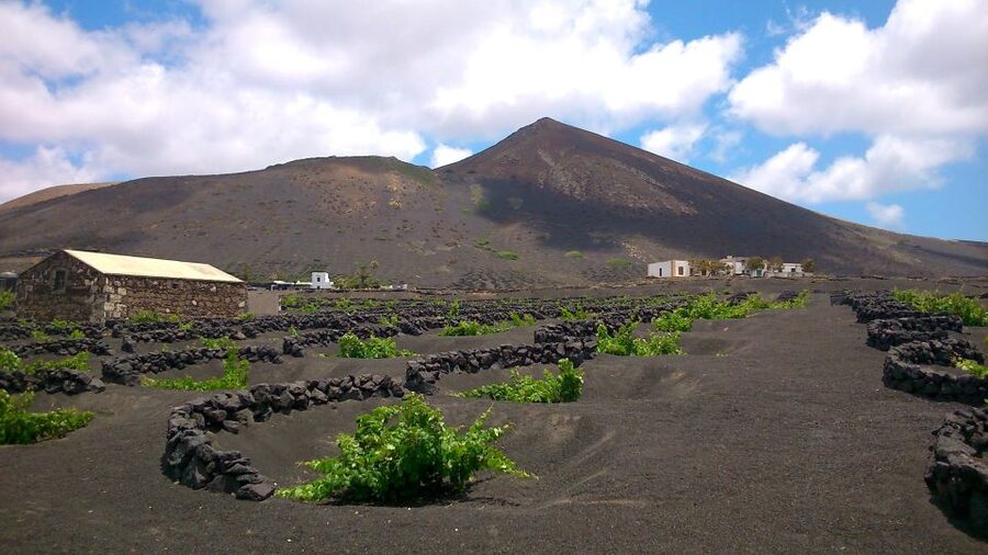 Lanzarote: La Geria Vineyards Hiking Tour - Starting at Bodega Rubicón at 9:30