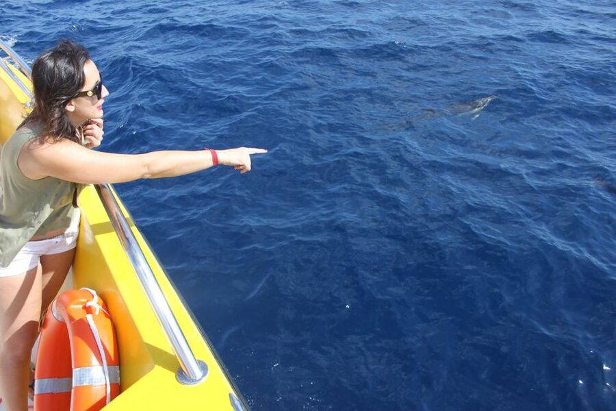 Lanzarote: Lobos Island Half-Day Dolphin Watching Trip - Who will enjoy this trip most