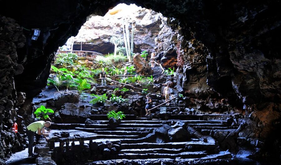 Lanzarote: Northern Half-Day Trip - The bus, guide, and pickup experience