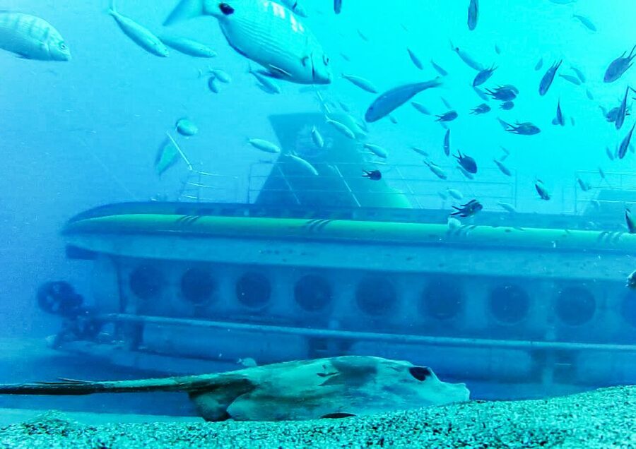 Lanzarote: Real Submarine Dive with Hotel Pickup - Timing your visit to Puerto Calero
