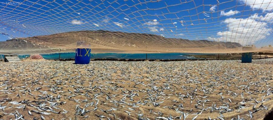 Lanzarote: Return Ferry to La Graciosa with Bus Pickup - Food, costs, and what the $47 covers